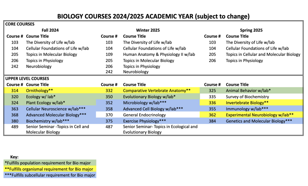 Course offerings 2024-2025