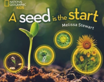 Book cover of "A Seed is the Start" by Melissa Stewart '90