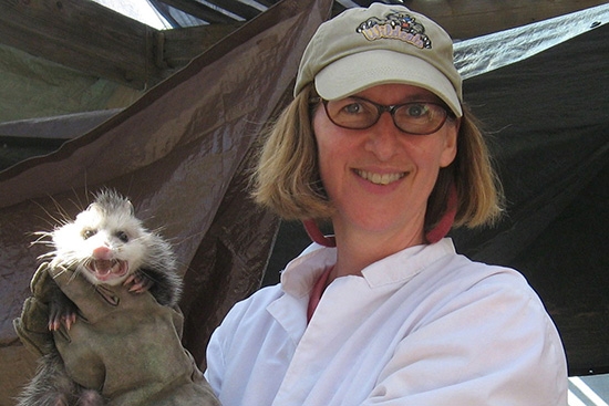   Biology Professor Kathleen LoGiudice shows off an opossum captured as part of Lyme disease research conducted with the Cary Institute in Millbrook, N.Y