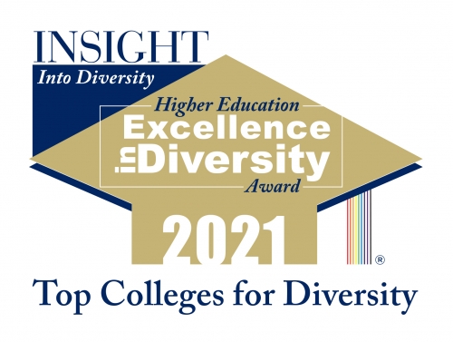2021 Excellence in Diversity Award