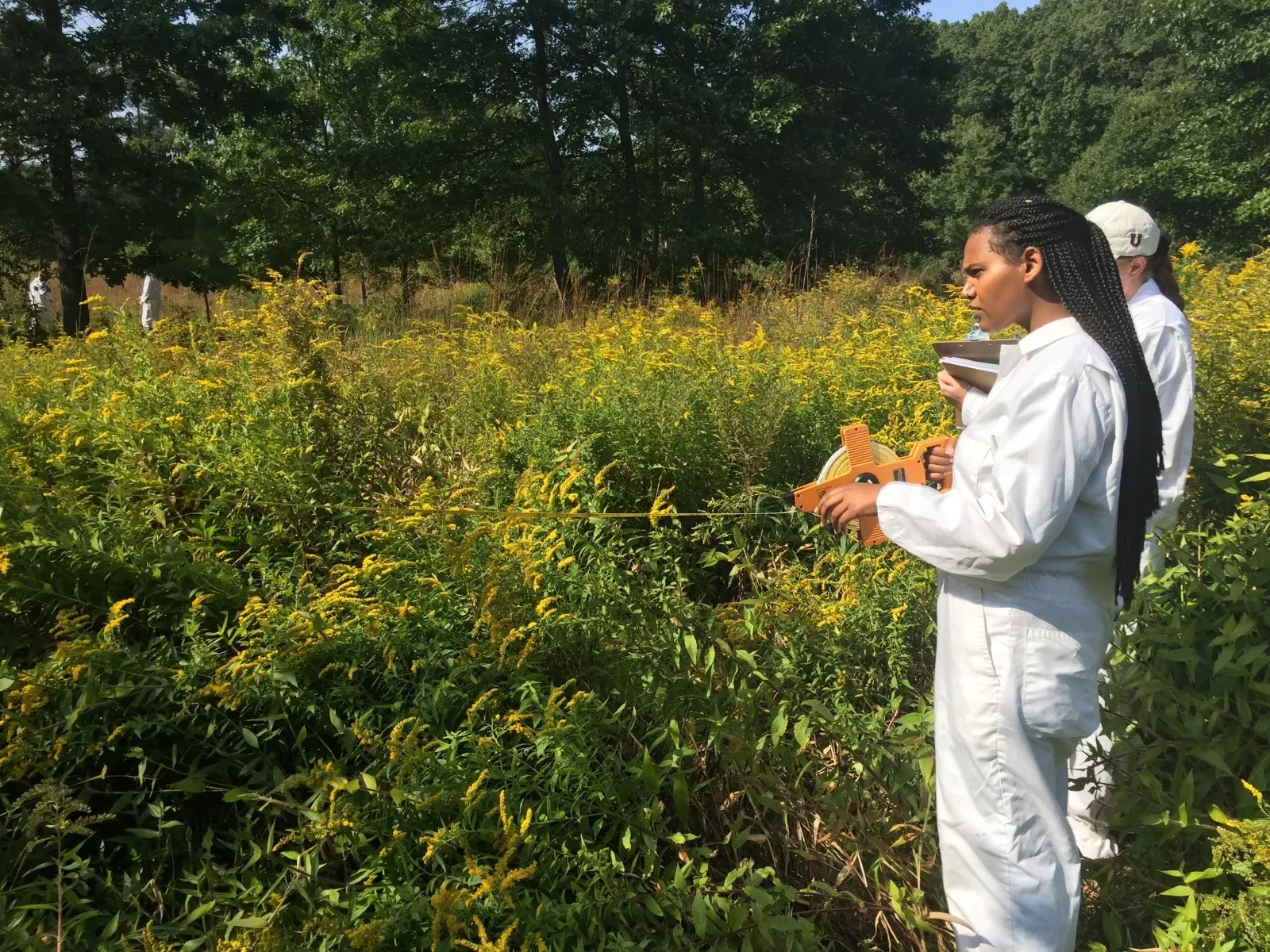 Students in Prof. Corbin's Plant Ecology class survey trees at the Albany Pine Bush Preserve