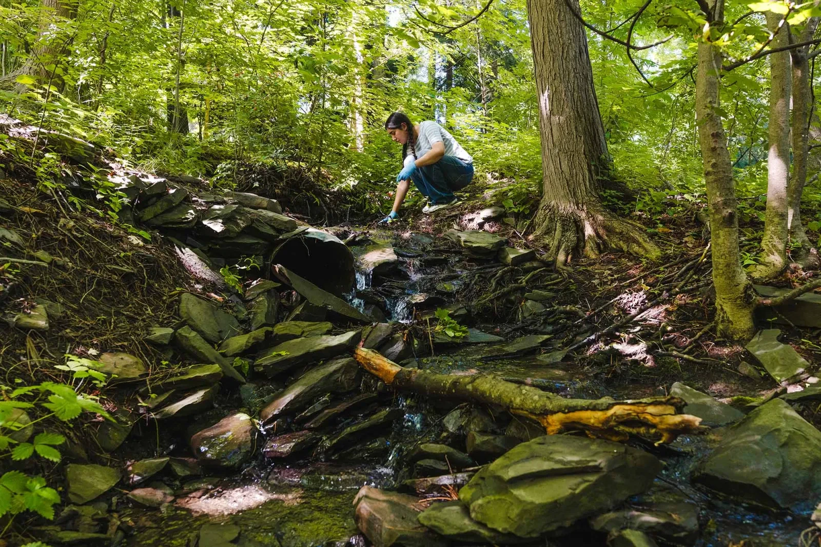 A woman squats in the woods at the edge of a stream collecting a water sample.