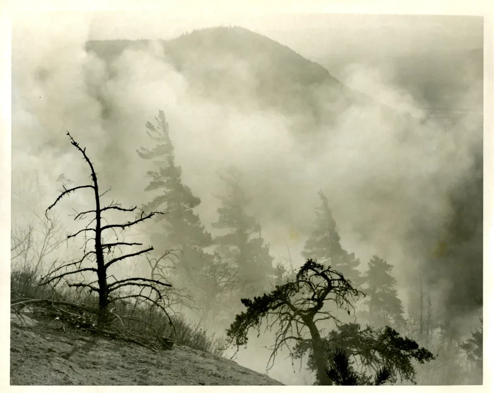 Bassett Mt. Fire