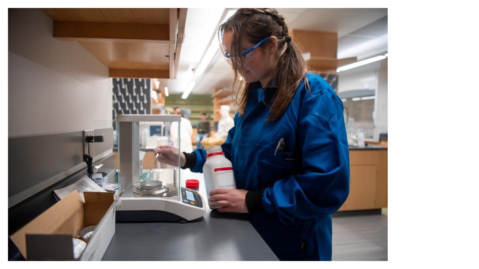 Students working in Lab