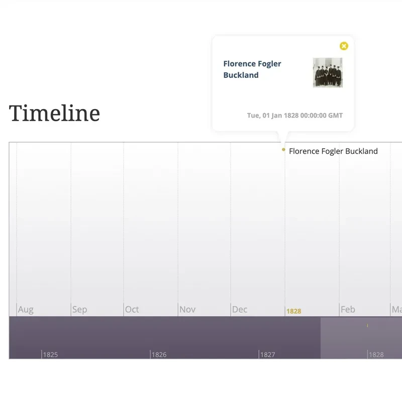 timeline module