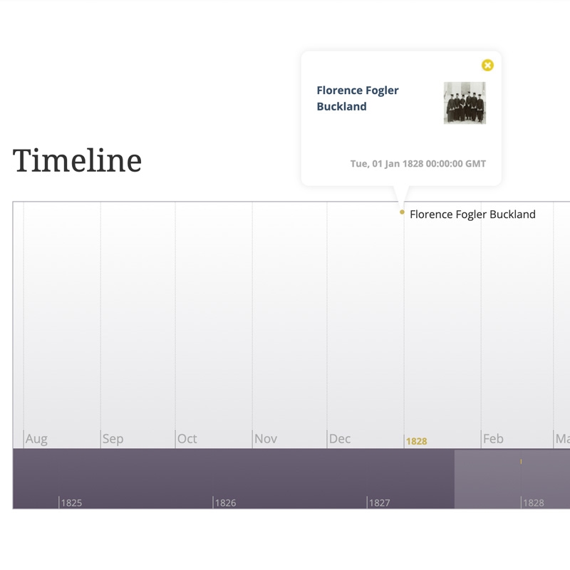 timeline module