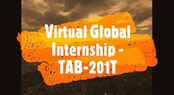 Virtual Global Internship