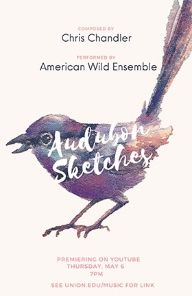 Audubon Sketches Poster