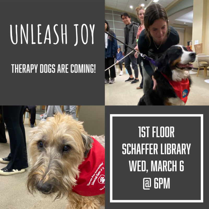 Therapy Dogs March 6th, 2024