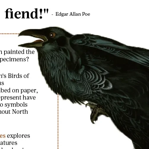 American horror stories: Audubon