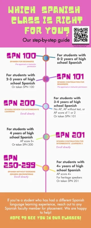 Spanish Flowchart Poster