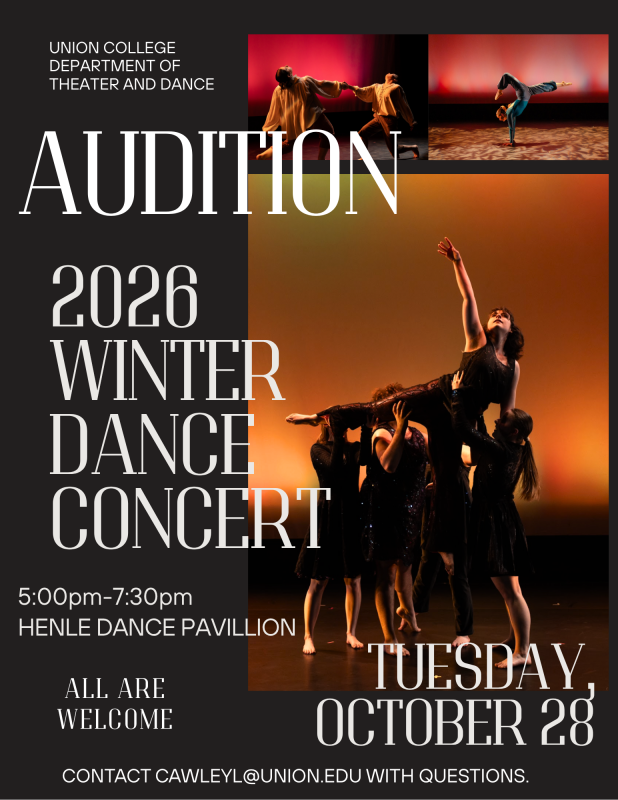 wdc audtions poster