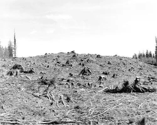 Robert Adams's "Untitled"