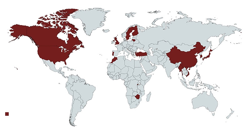 World map 