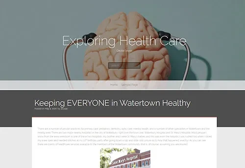 A screenshot from the blog of Cecilia Sousa ’20