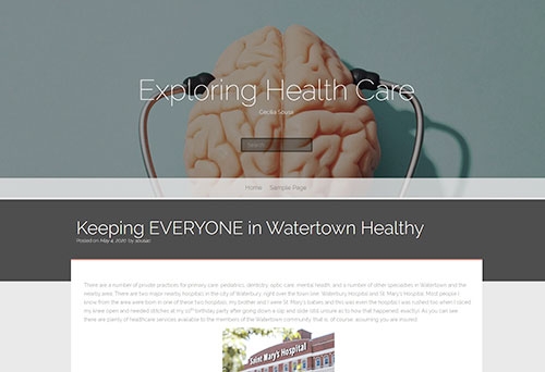 A screenshot from the blog of Cecilia Sousa ’20