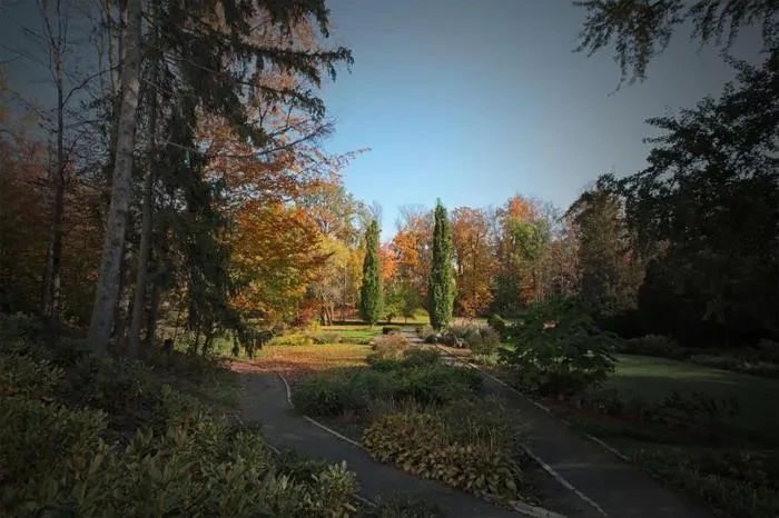  Jackson's Garden, the place where Alice Van der Veer was allegedly killed more than 300 years ago (Photo by Matt Milless)