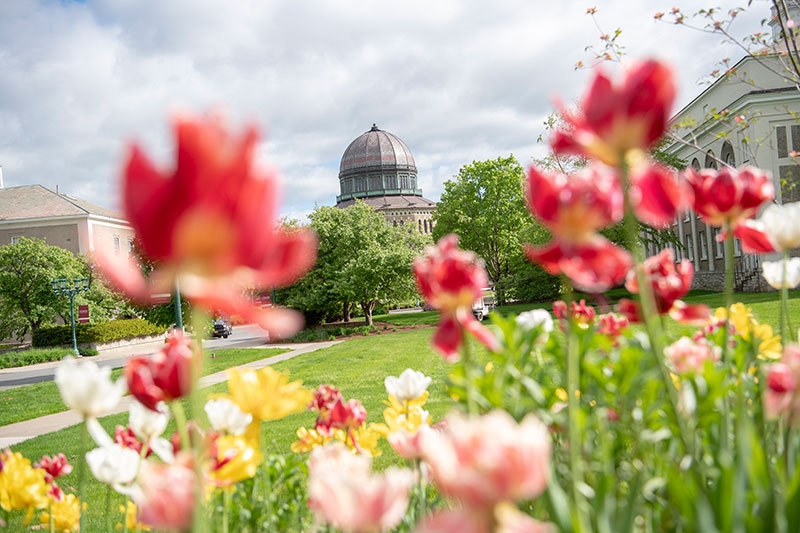 Flowers frame the Nott Memorial