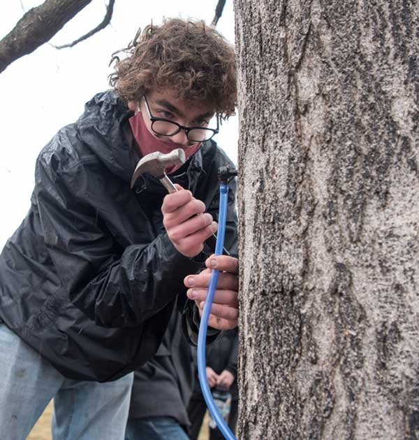 Andrew Nordell '23 and Hugh Jenkins, professor of English, were among those honored with a Presidential Green Grant. The pair purchased equipment to tap maple trees on campus and produced their first batch of syrup.