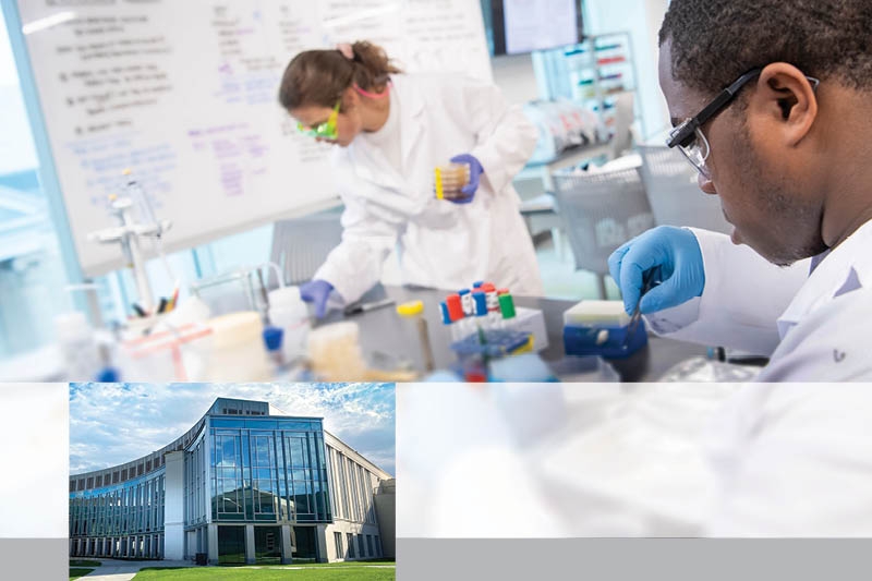 One of the College's biology suites
