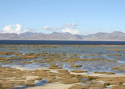 Lake Junín, high in the Andes of Peru, holds centuries sediments that provide a record of Earth's climate history.