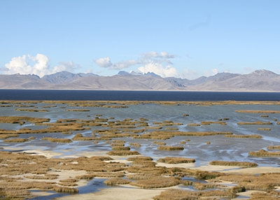 Lake Junín, high in the Andes of Peru, holds centuries sediments that provide a record of Earth's climate history.
