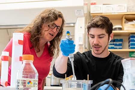 Summer Reseearch - Luke Miranda ’23 with professor Kristin Fox in the lab