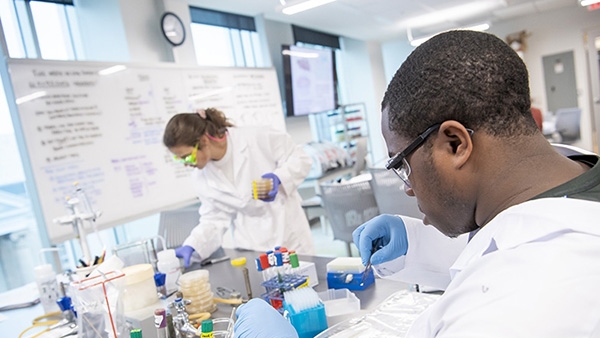 Students conducting research in one of the microbiology labs.