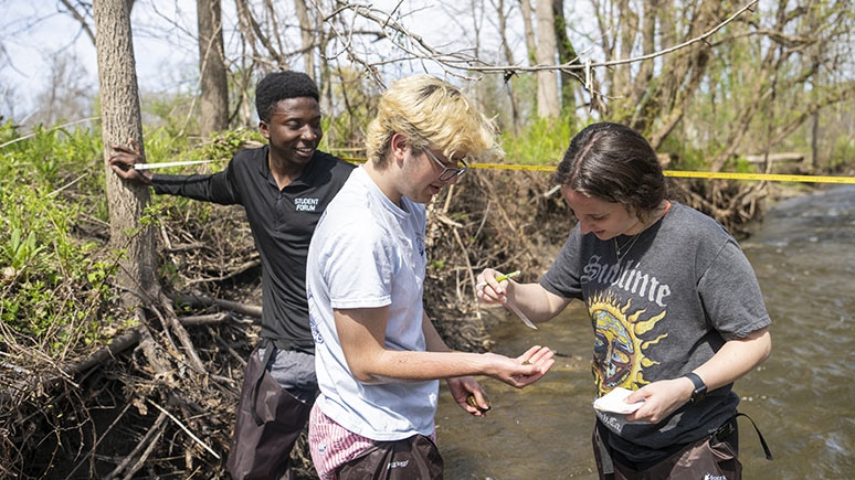 Students conducting research at the Alplaus Creek