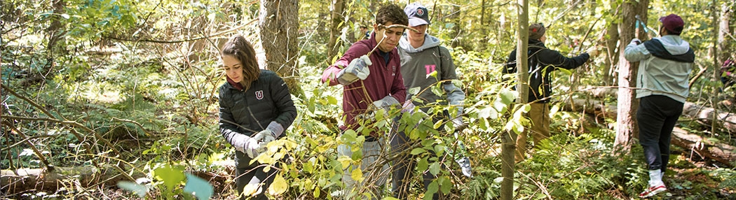 Students clearing brush