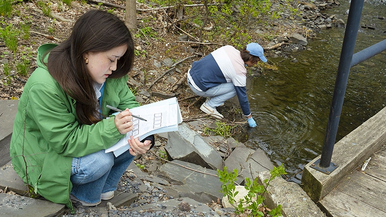 Students taking water samples at a local creek