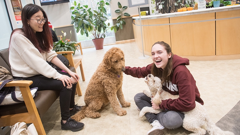 Two Unions student enjoy quality time with some of the College's therapy dogs.