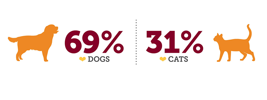 This graphic contains the following text in response to the question, are you a dog or cat person?:  69% are dog people