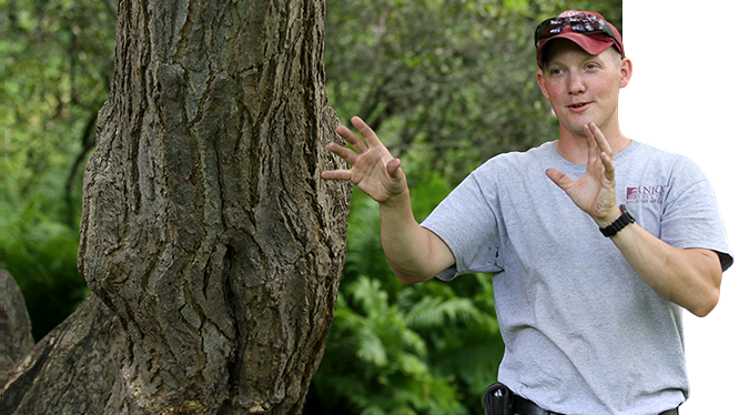 The Union College arborist in front of a stately tree