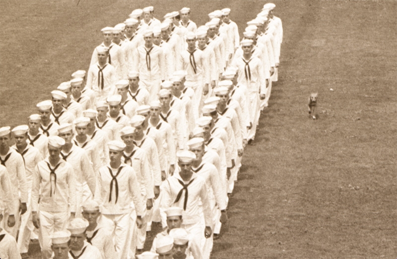 Throckmorton, described as the most widely known of Union's many campus dogs, runs with the Navy’s V-12 College Training Program on Rugby Field in the 1940s.