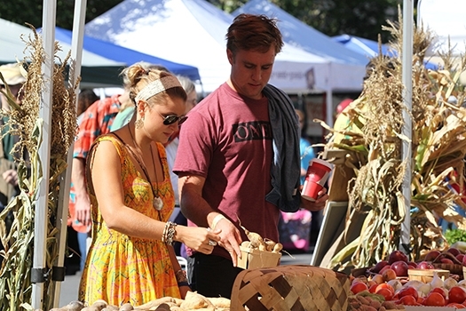 Students shopping at the Schenectady Greenmarket
