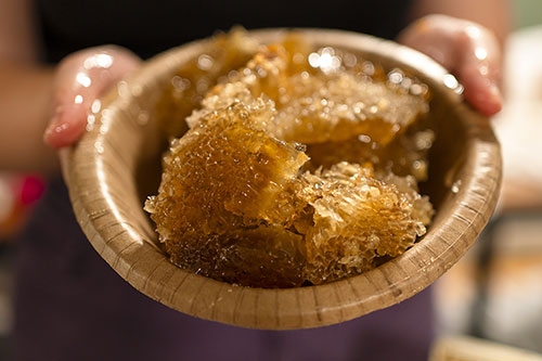 Honeycomb harvested by the Beekeeping Club