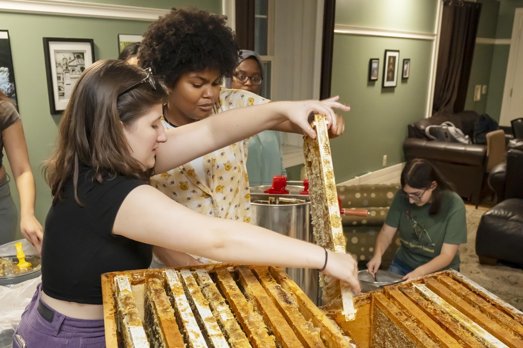 Anyerys (Angie) Diaz '24 and Katie Boermeester '24 (left) inspect some honeycomb.