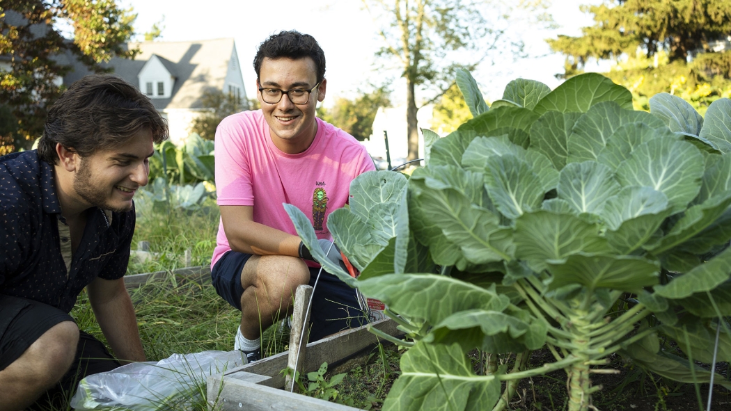 A student working in the Octopus's Garden