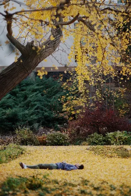 A student takes time out to relax under the ginkgo tree in Jackson's Garden. A&nbsp;persistently hardy species that features fan-shaped leaves that burst into spectacular golden hues in autumn, the ginkgo&nbsp;is the most distinctive element of the historic gardens.