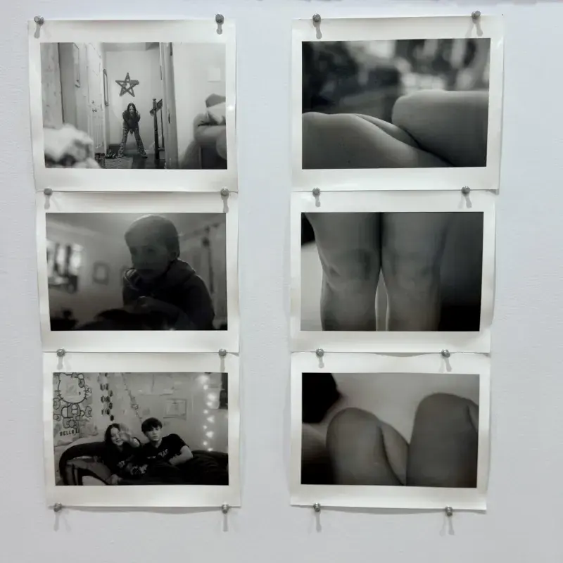 An art display of knees