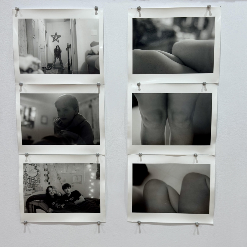 An art display of knees