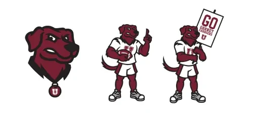 images of the charger mascot full body and just the head