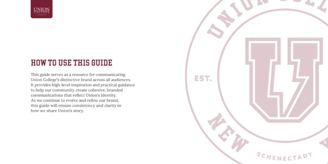 How to use these guidelines text