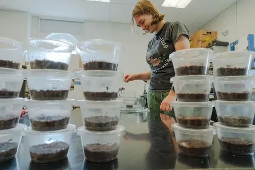 Corridore is among a record 155 students across disciplines engaged in paid research this summer. Most projects are funded through the College’s undergraduate research program. The rest are supported by government, foundation or scientific society grants to faculty members and academic departments. 