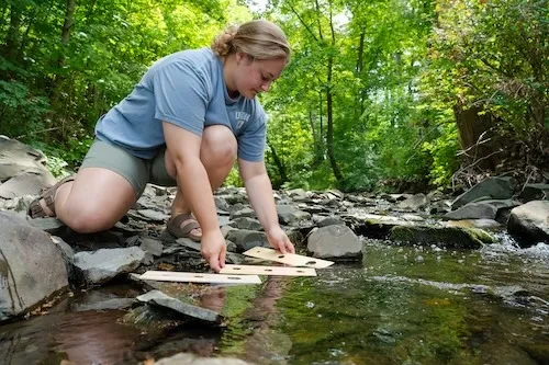 Corridore is among a record 155 students across disciplines engaged in paid research this summer. Most projects are funded through the College’s undergraduate research program