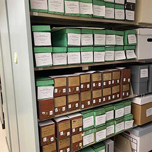 A shelf loaded with files