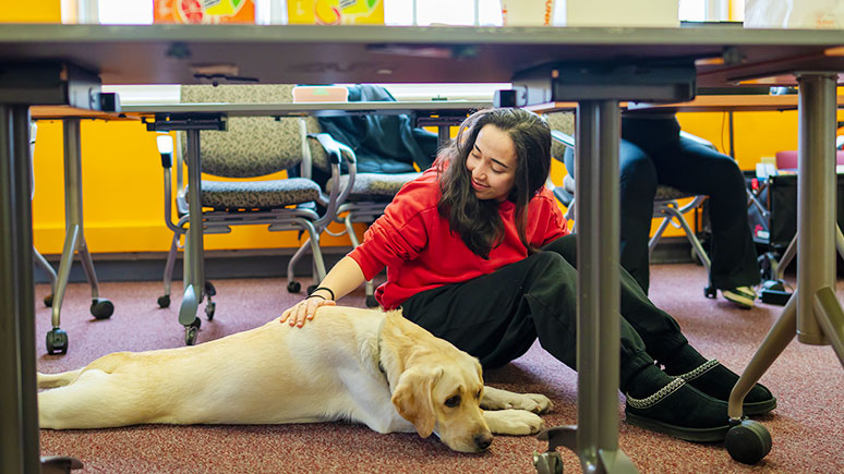 A step petting on of the therapy dogs in the Wicker Wellness Center