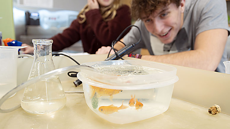 A student in a lab observes goldfish used in an experiment.