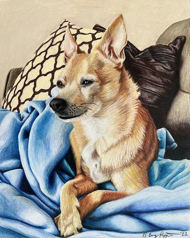 color drawing of dog
